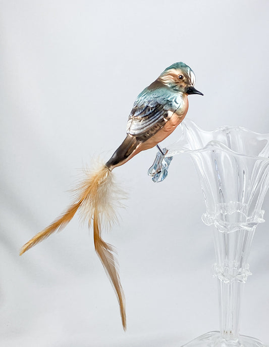 Buchfink auf Clip mit Naturfeder