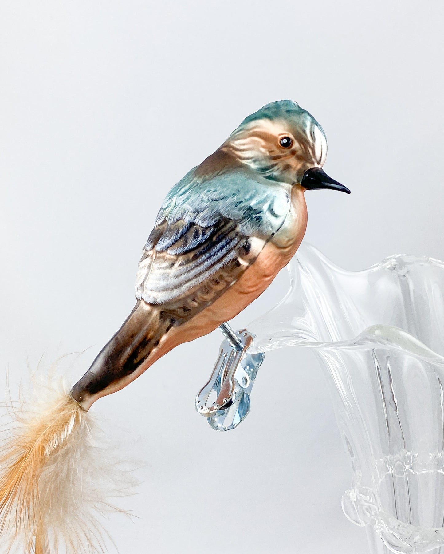 Buchfink auf Clip mit Naturfeder