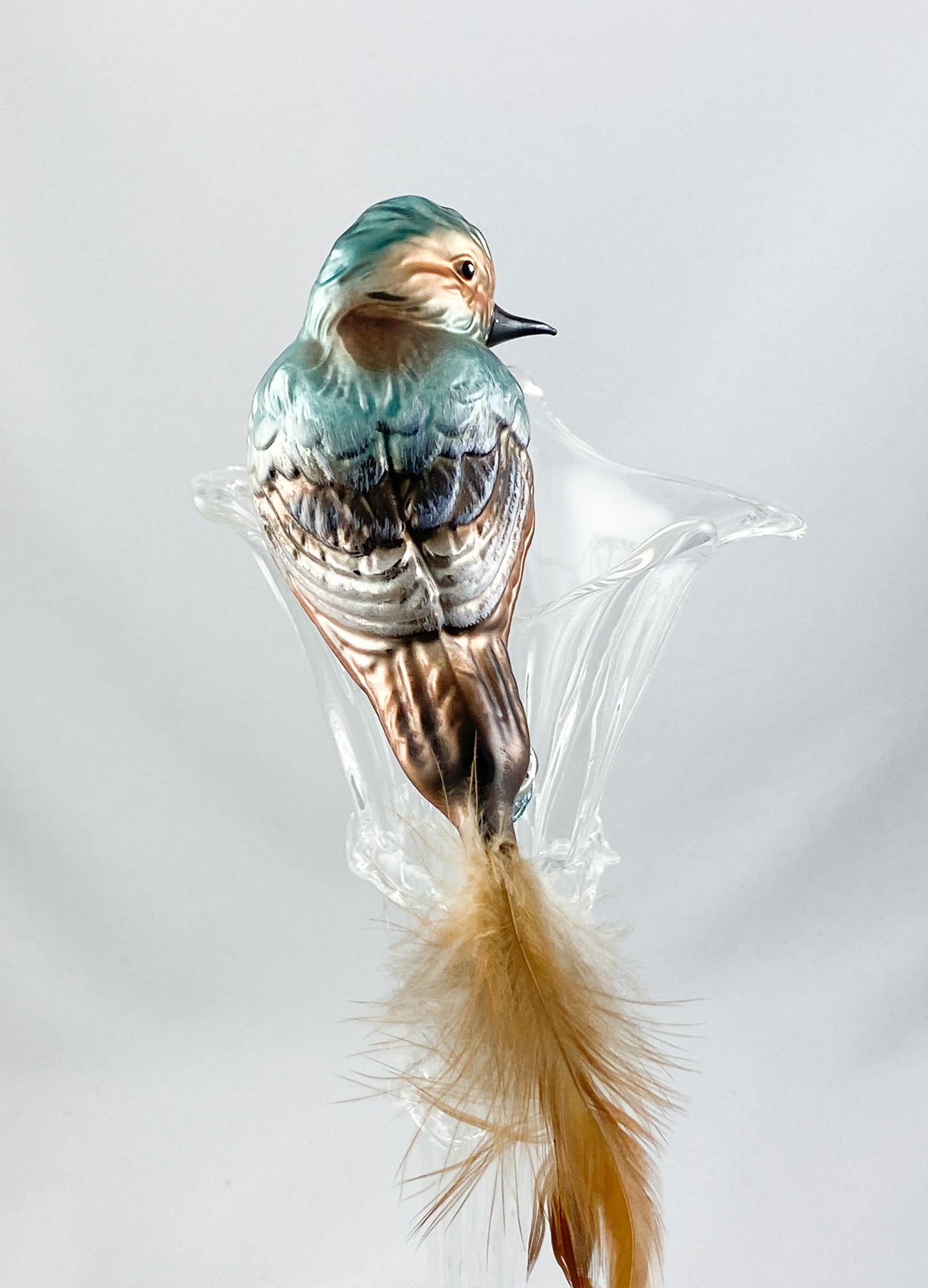 Buchfink auf Clip mit Naturfeder