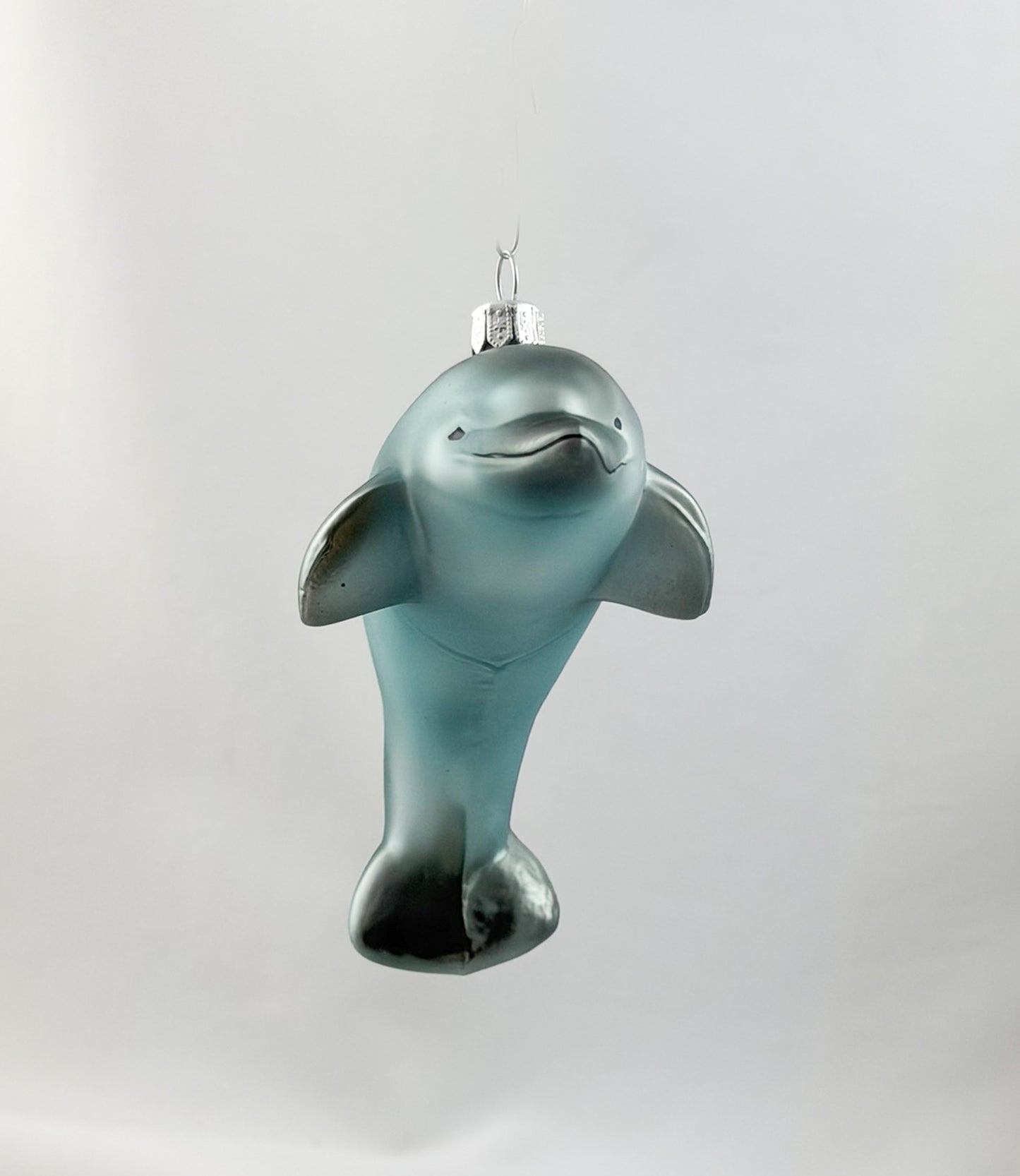Springender Delfin