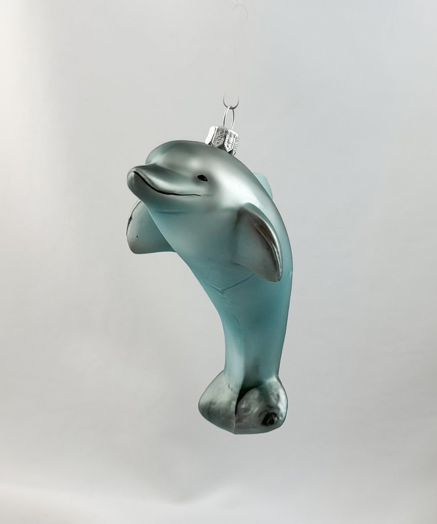 Springender Delfin