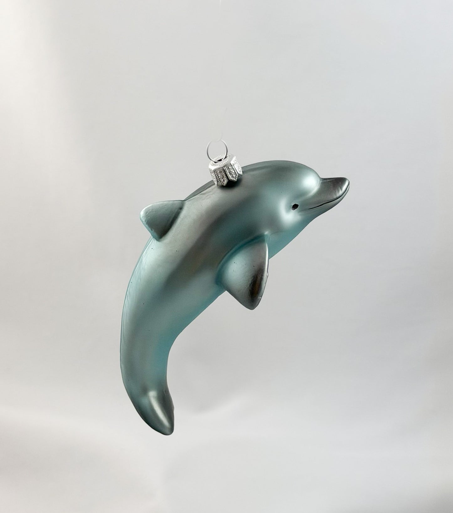 Springender Delfin