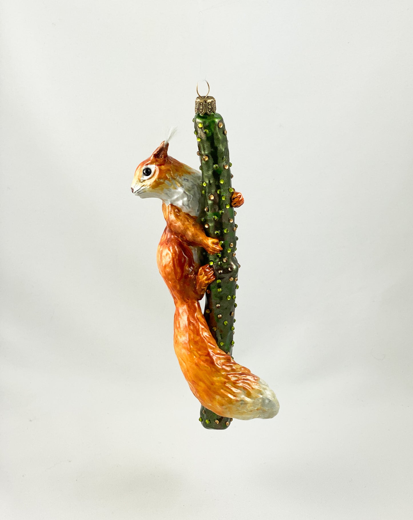 Squirrel climbing on branch AtlasArt