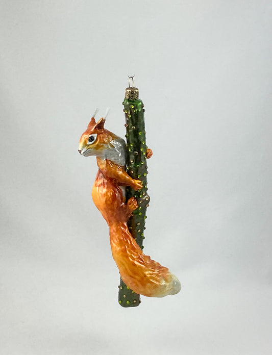 Squirrel climbing on branch AtlasArt