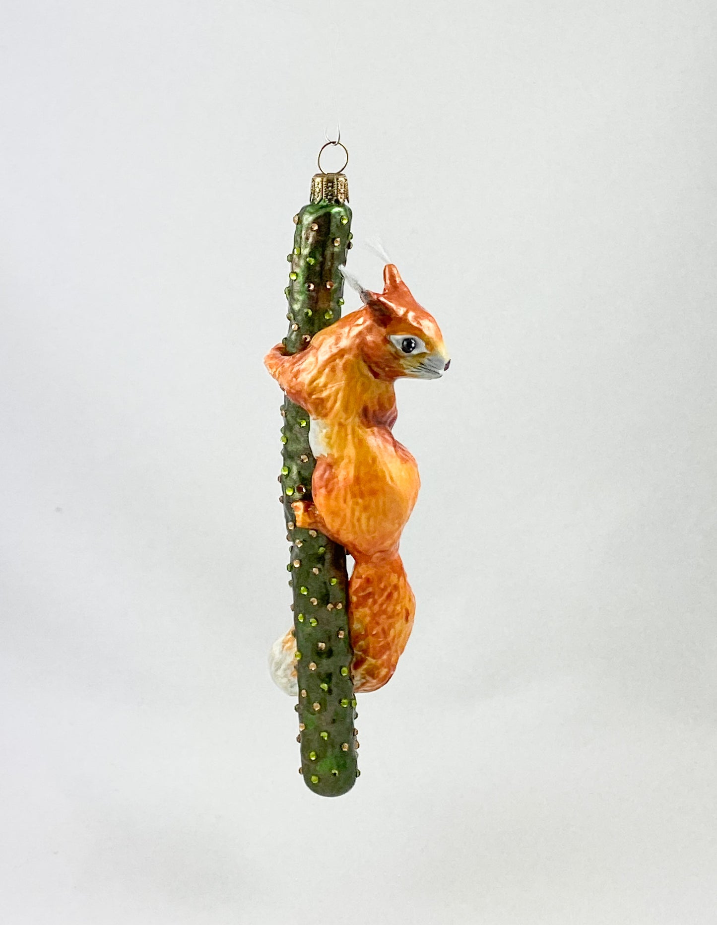 Squirrel climbing on branch AtlasArt