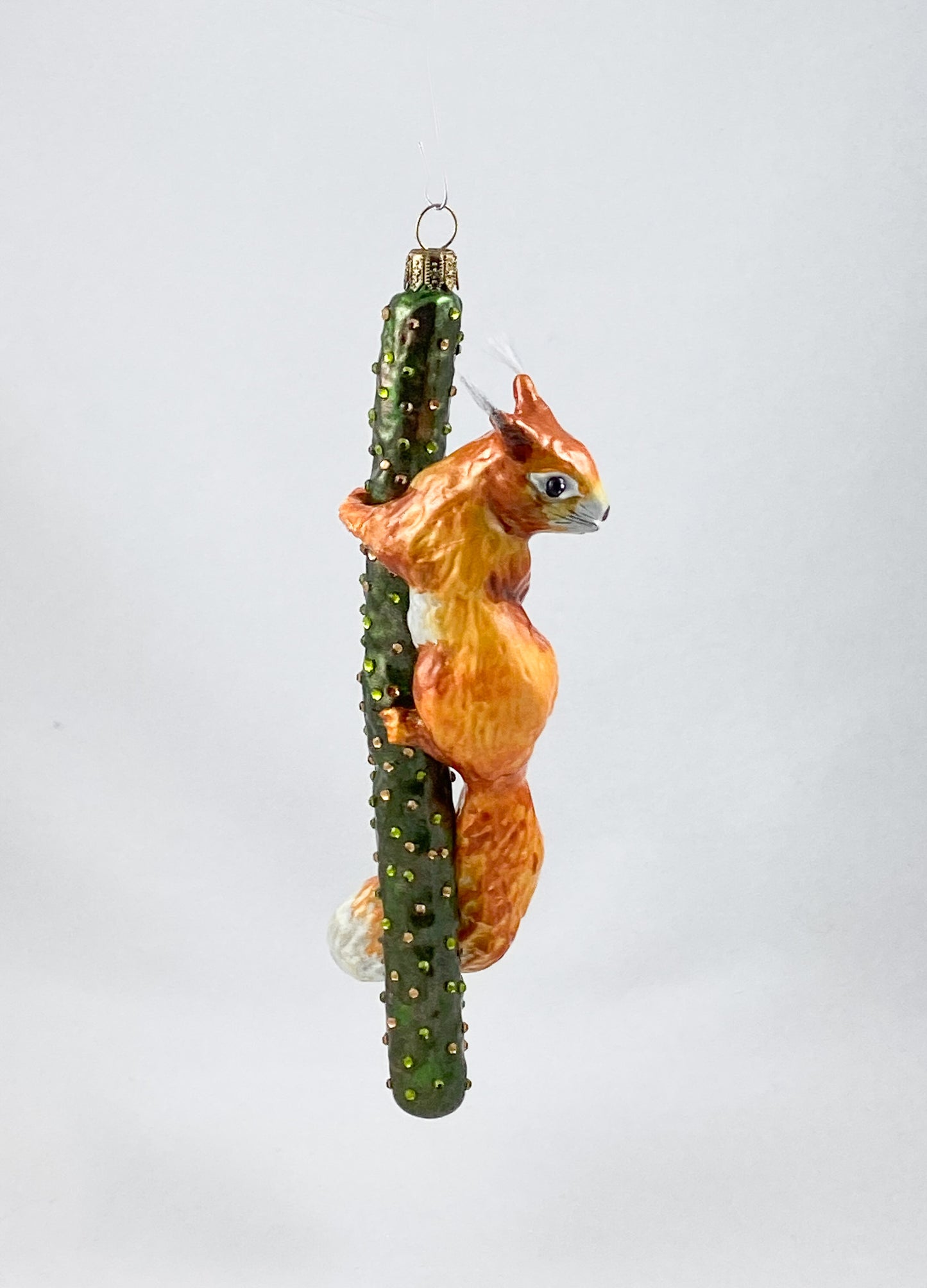 Squirrel climbing on branch AtlasArt