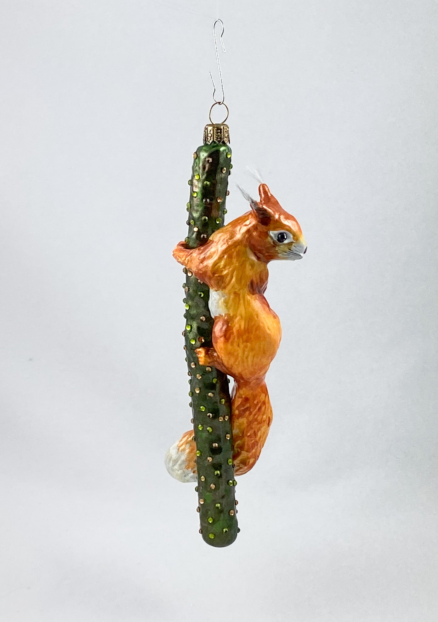 Squirrel climbing on branch AtlasArt