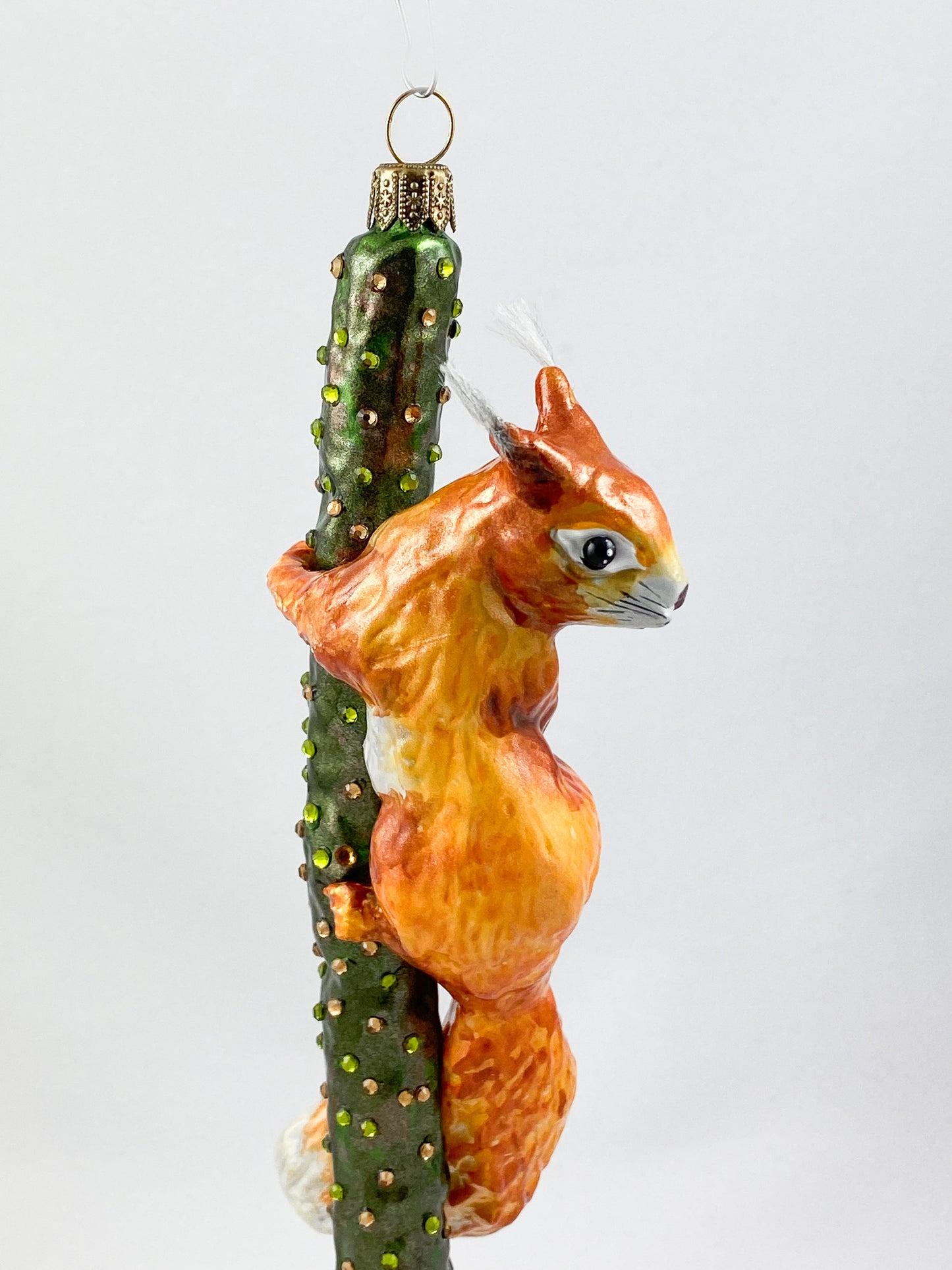 Squirrel climbing on branch AtlasArt