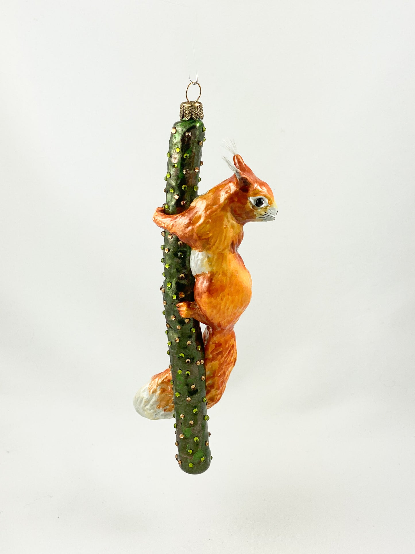 Squirrel climbing on branch AtlasArt