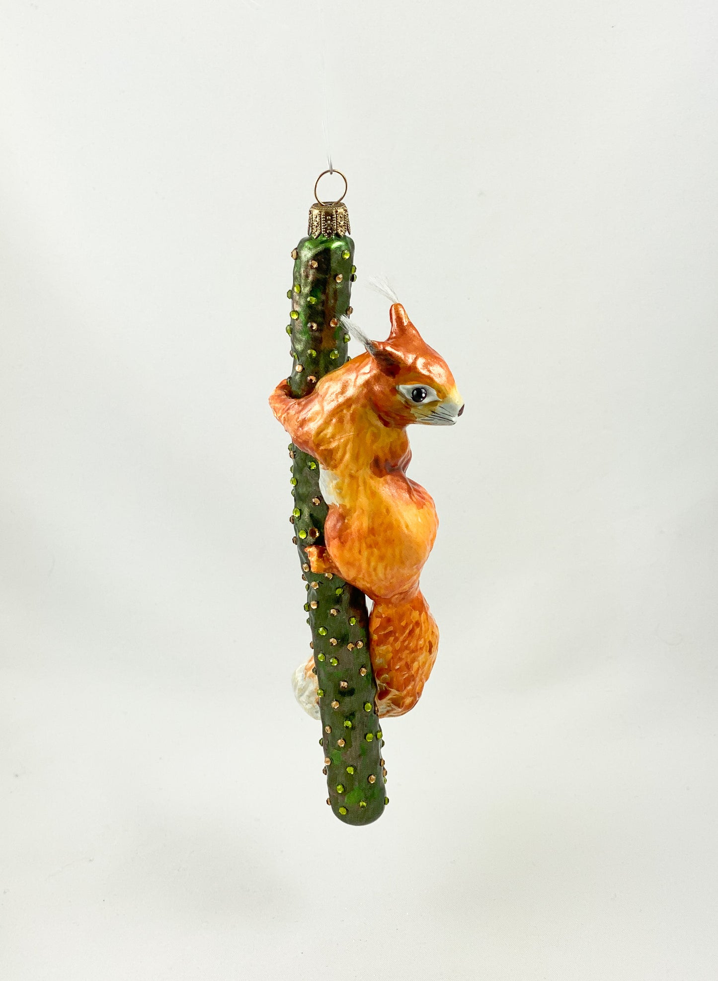 Squirrel climbing on branch AtlasArt