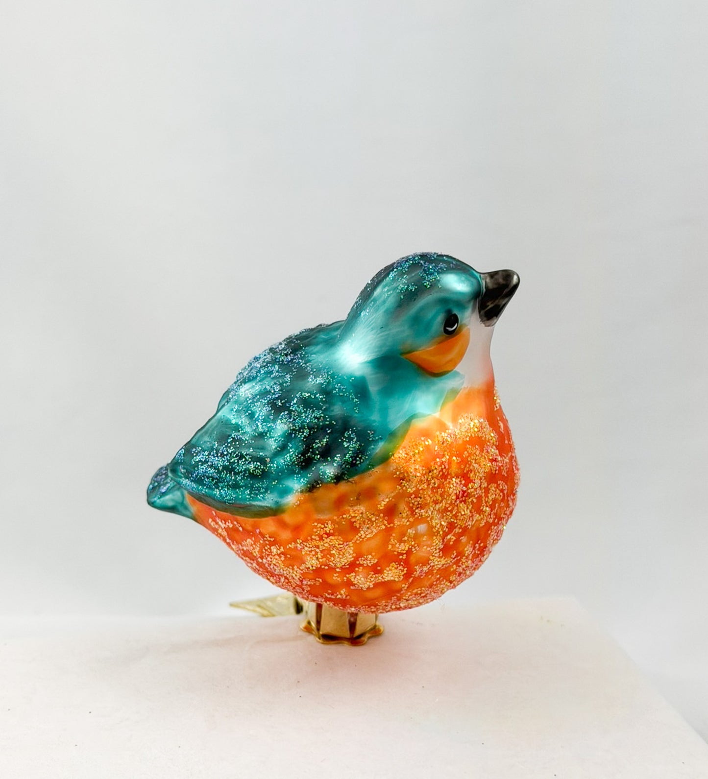 Kleiner dicker Eisvogel auf Clip