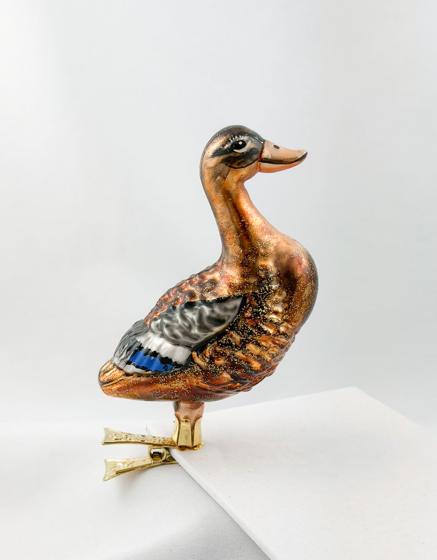 Stock-Enten Weibchen auf Clip
