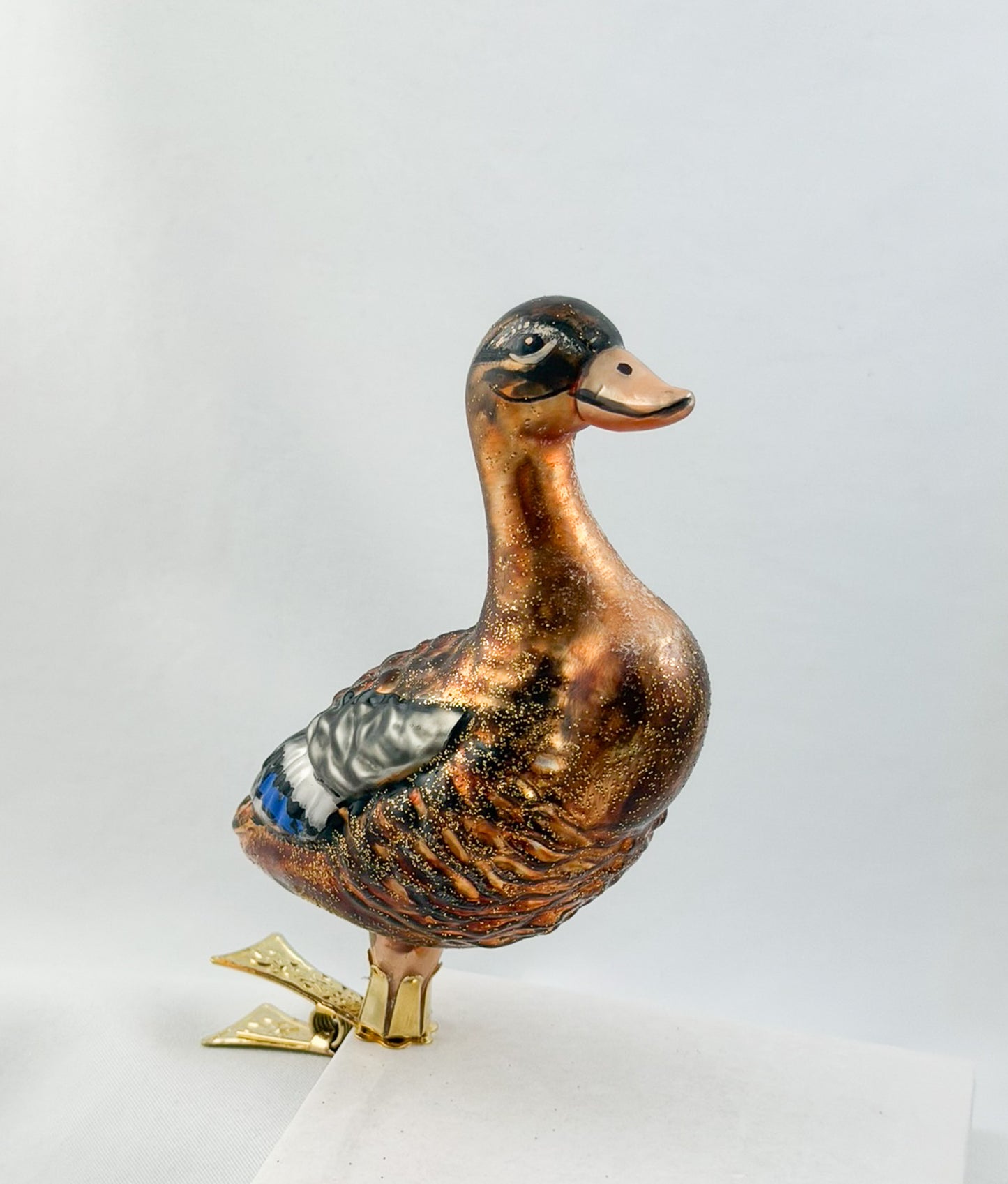 Stock-Enten Weibchen auf Clip
