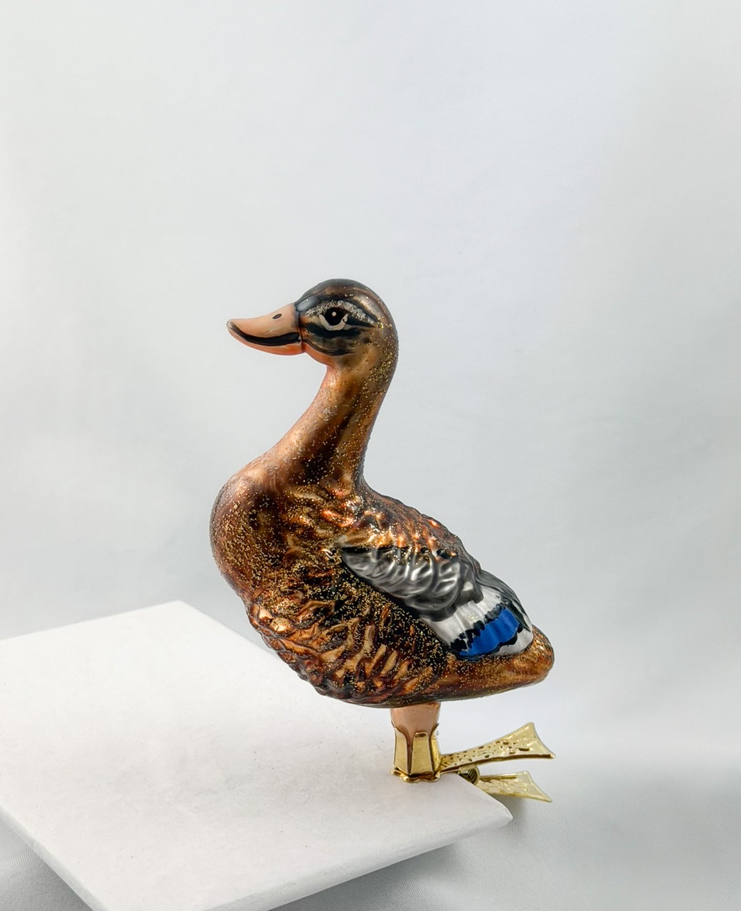 Stock-Enten Weibchen auf Clip