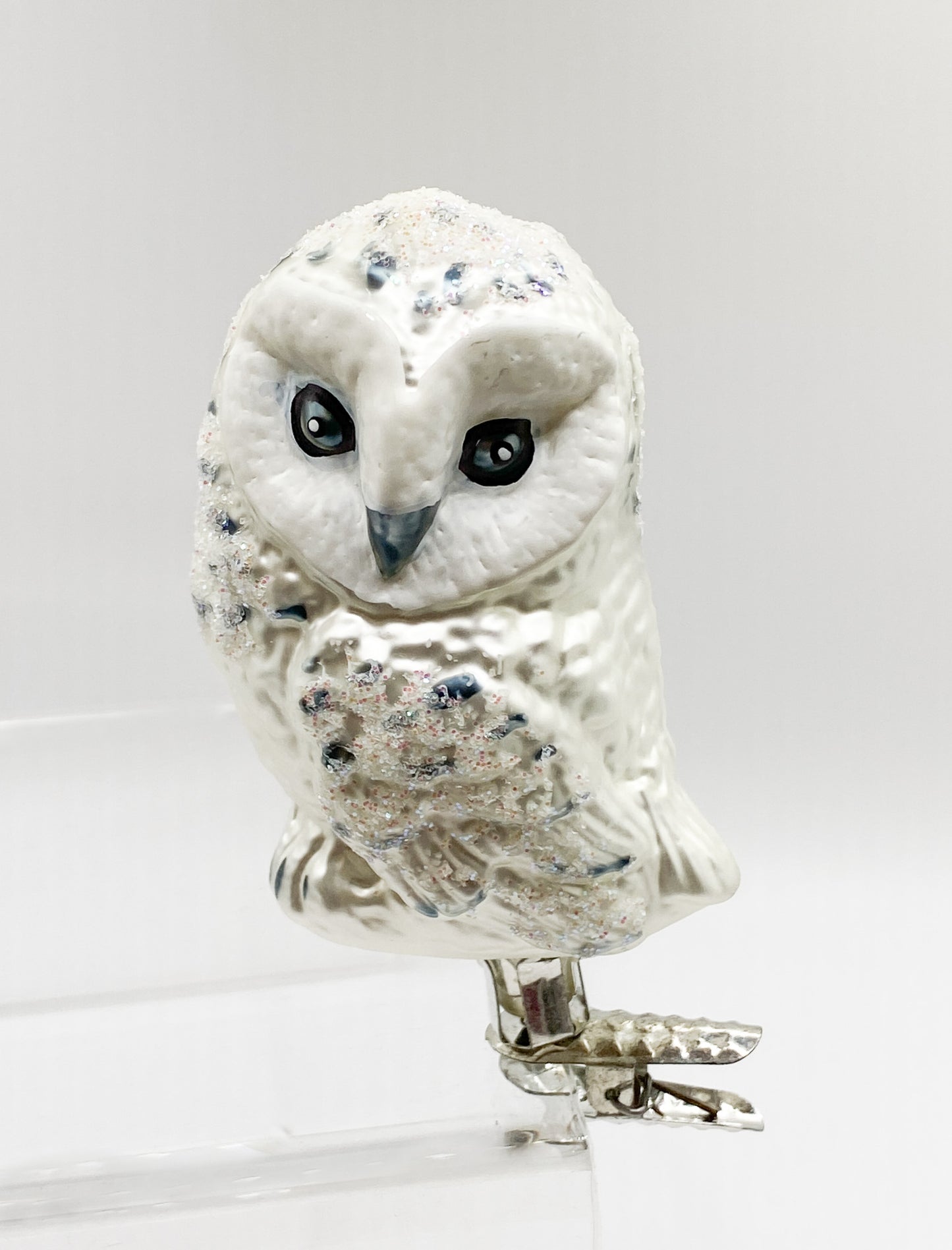 Snowy owl with clip