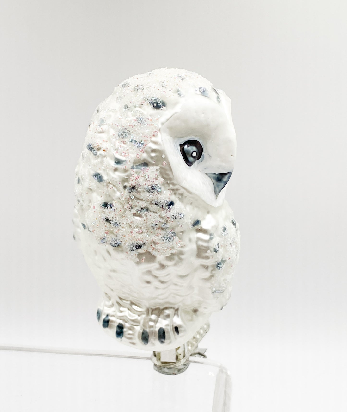 Snowy owl with clip