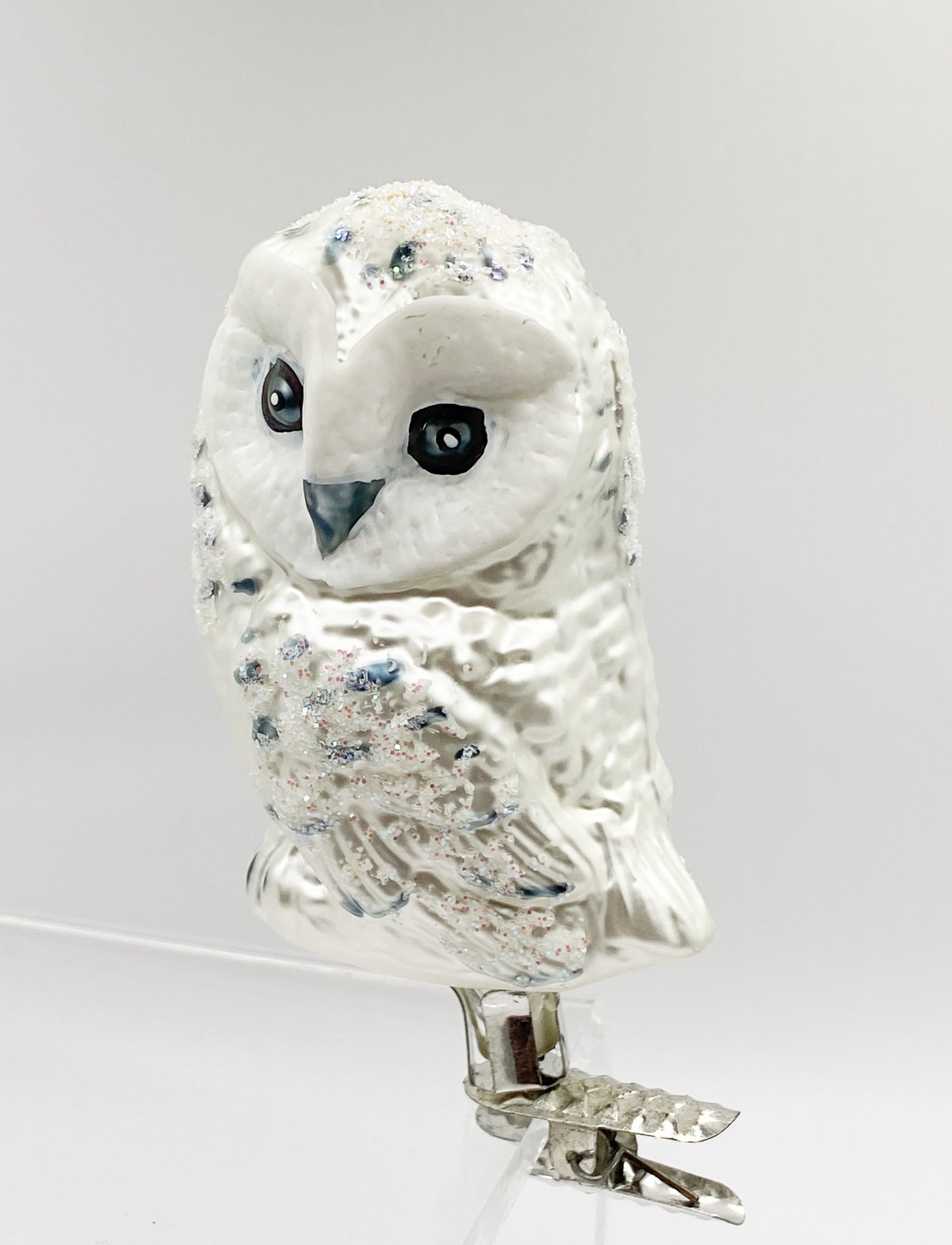 Snowy owl with clip
