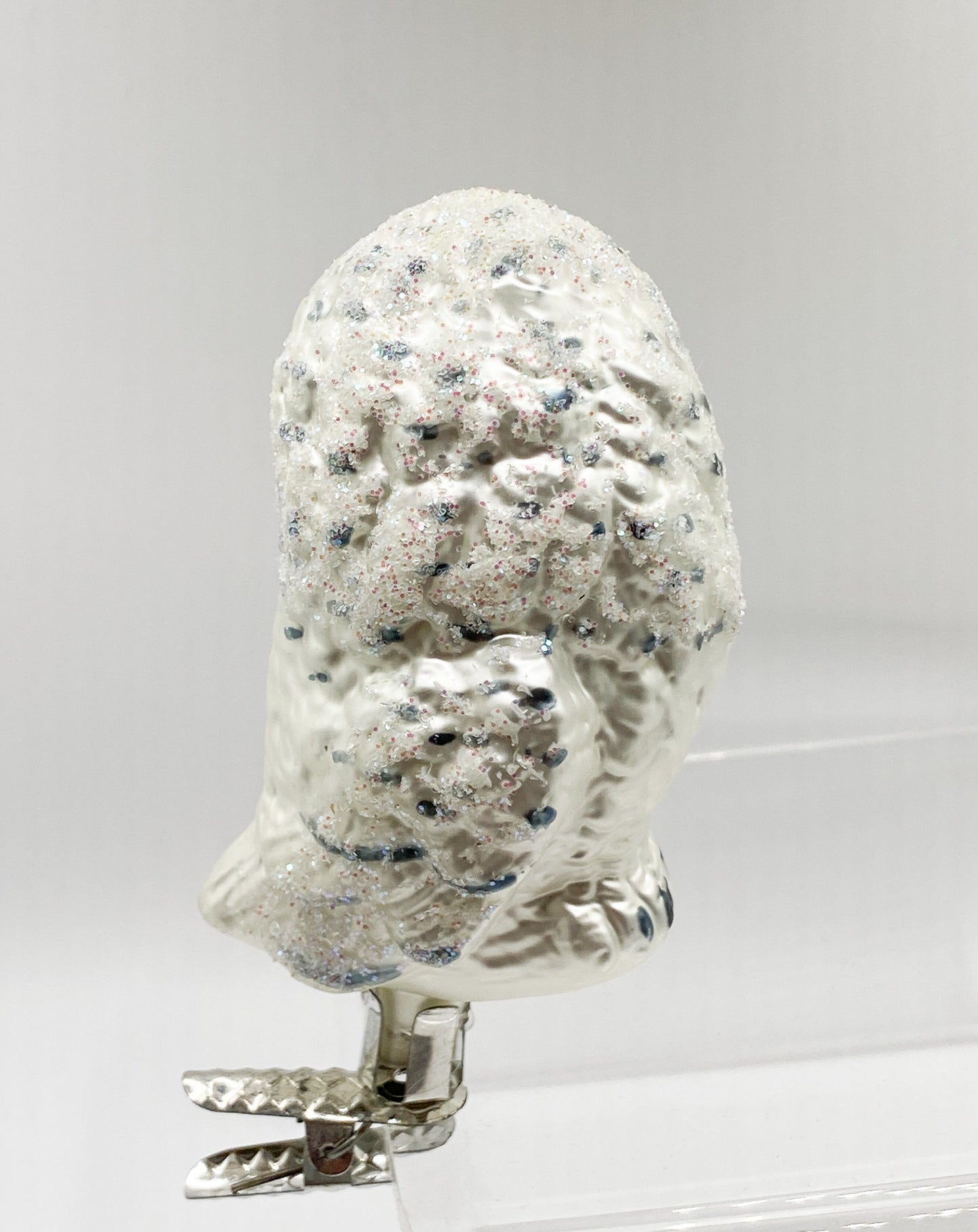 Snowy owl with clip