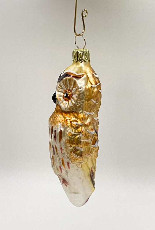 Goldbraune Eule