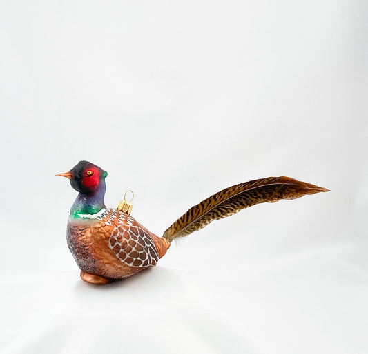Male hunting pheasant with natural feather