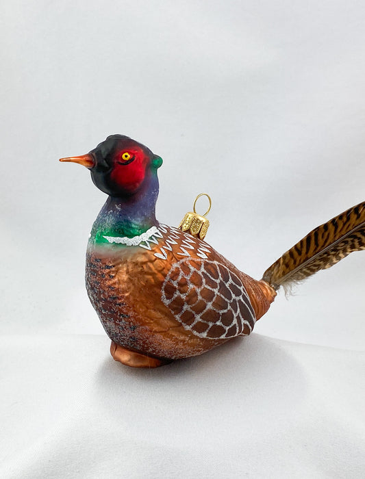 Male hunting pheasant with natural feather