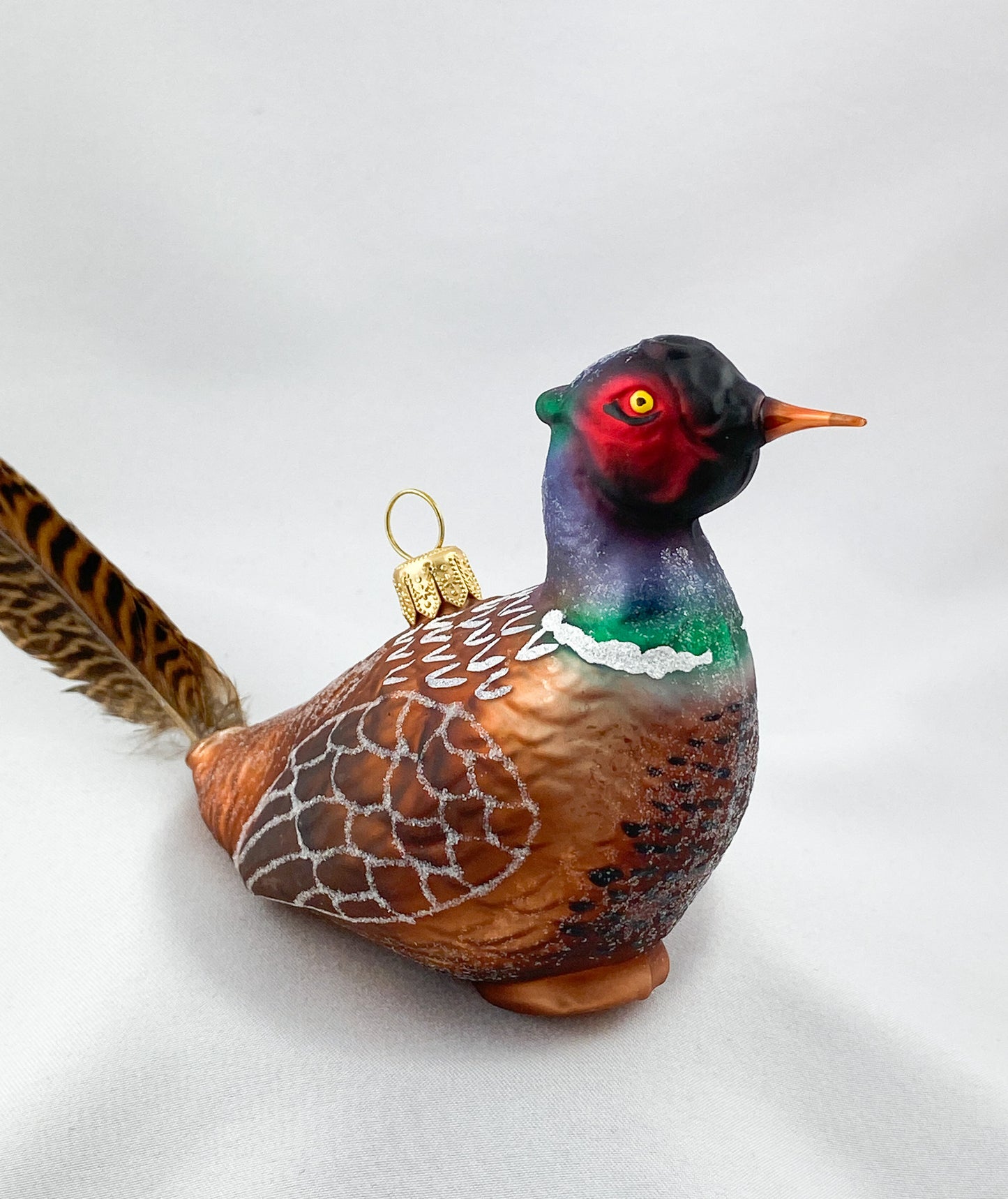 Jagd-Fasan Männchen mit Naturfeder