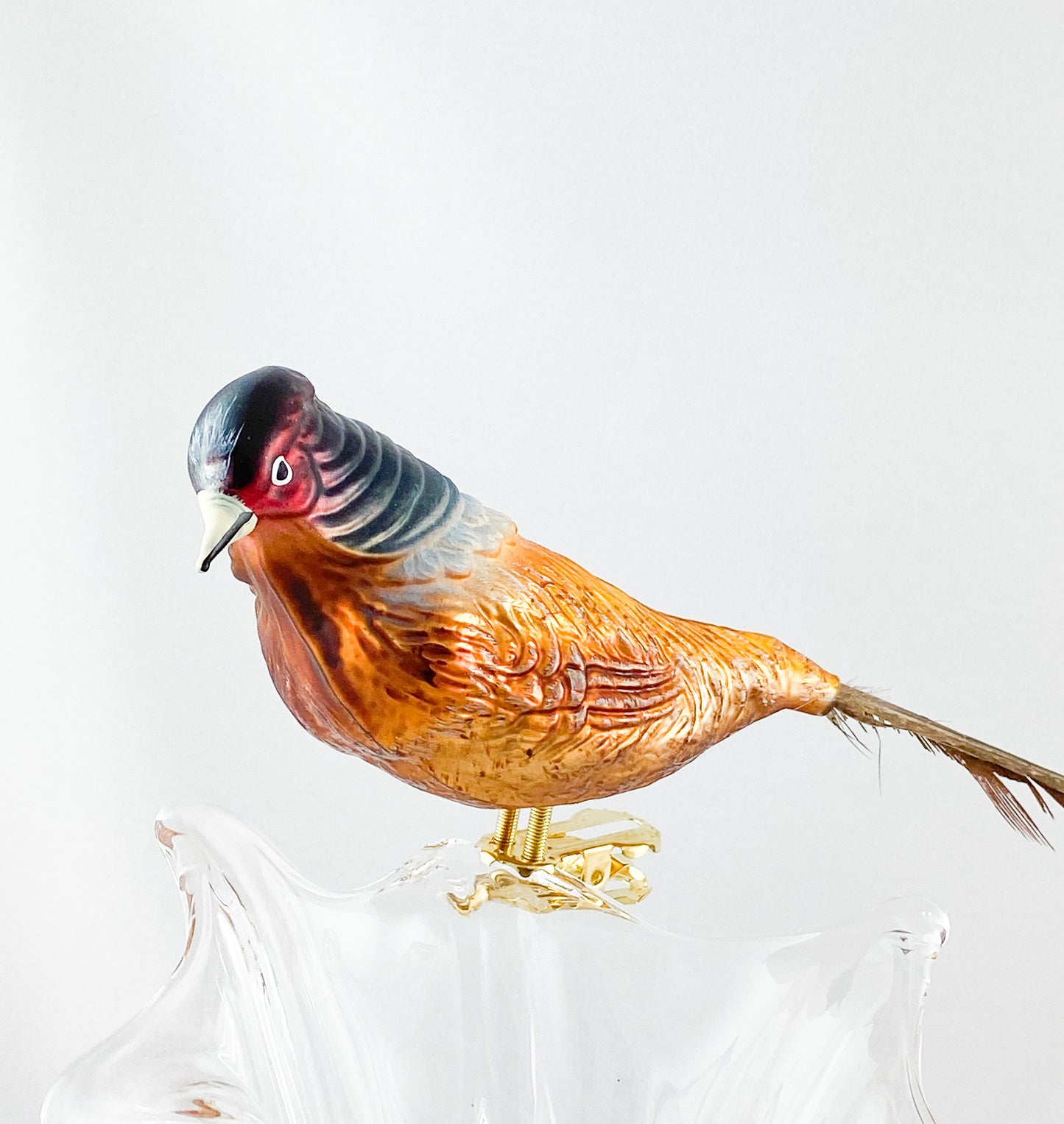 Hunting pheasant with long pheasant feather on clip