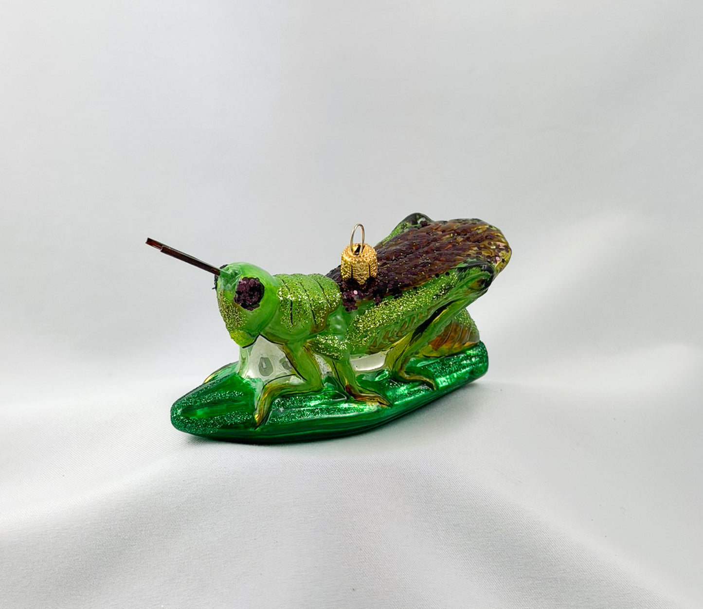 Locust, grasshopper