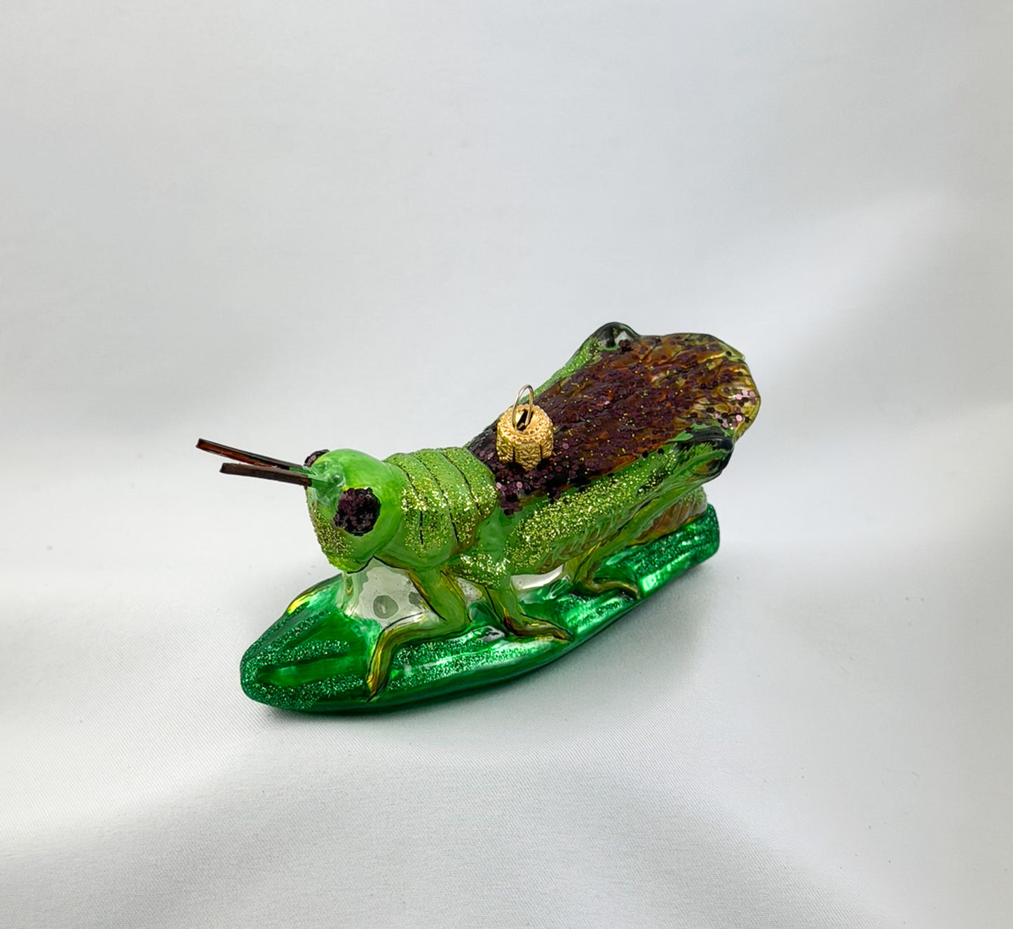 Locust, grasshopper