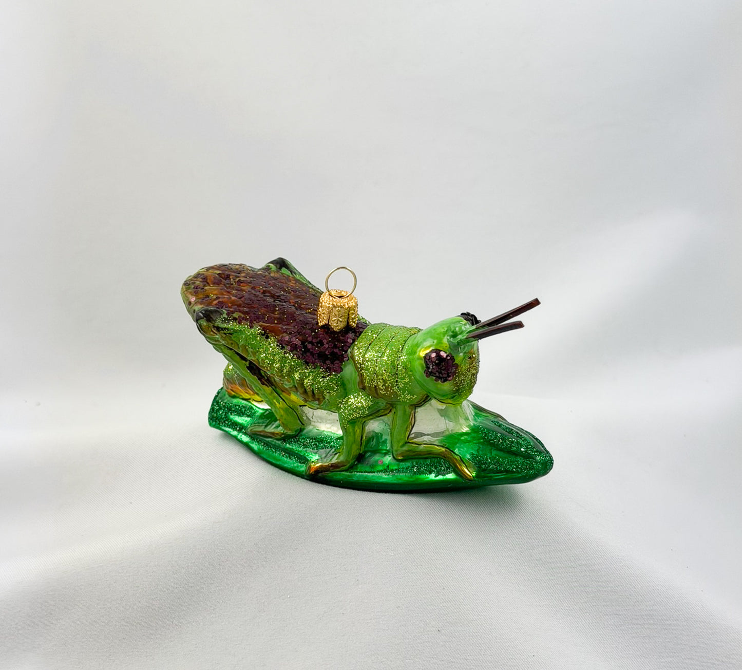 Locust, grasshopper