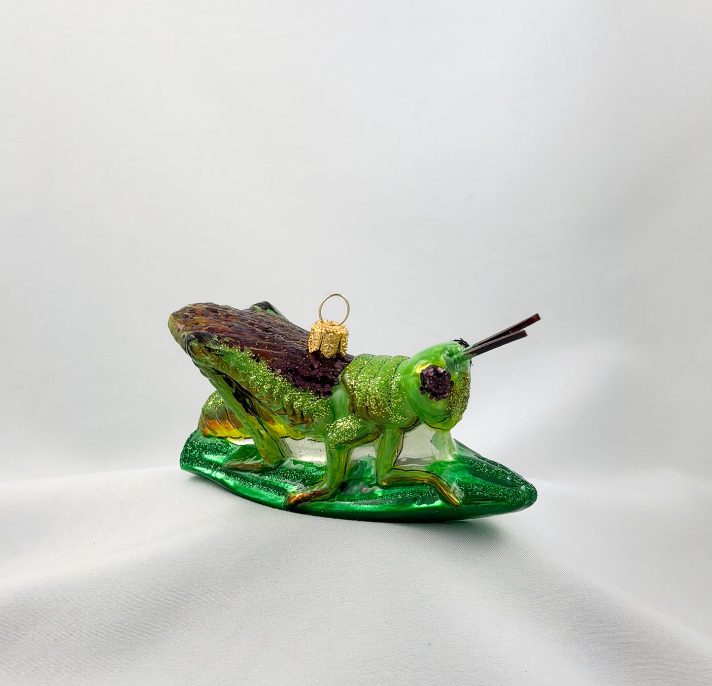 Locust, grasshopper
