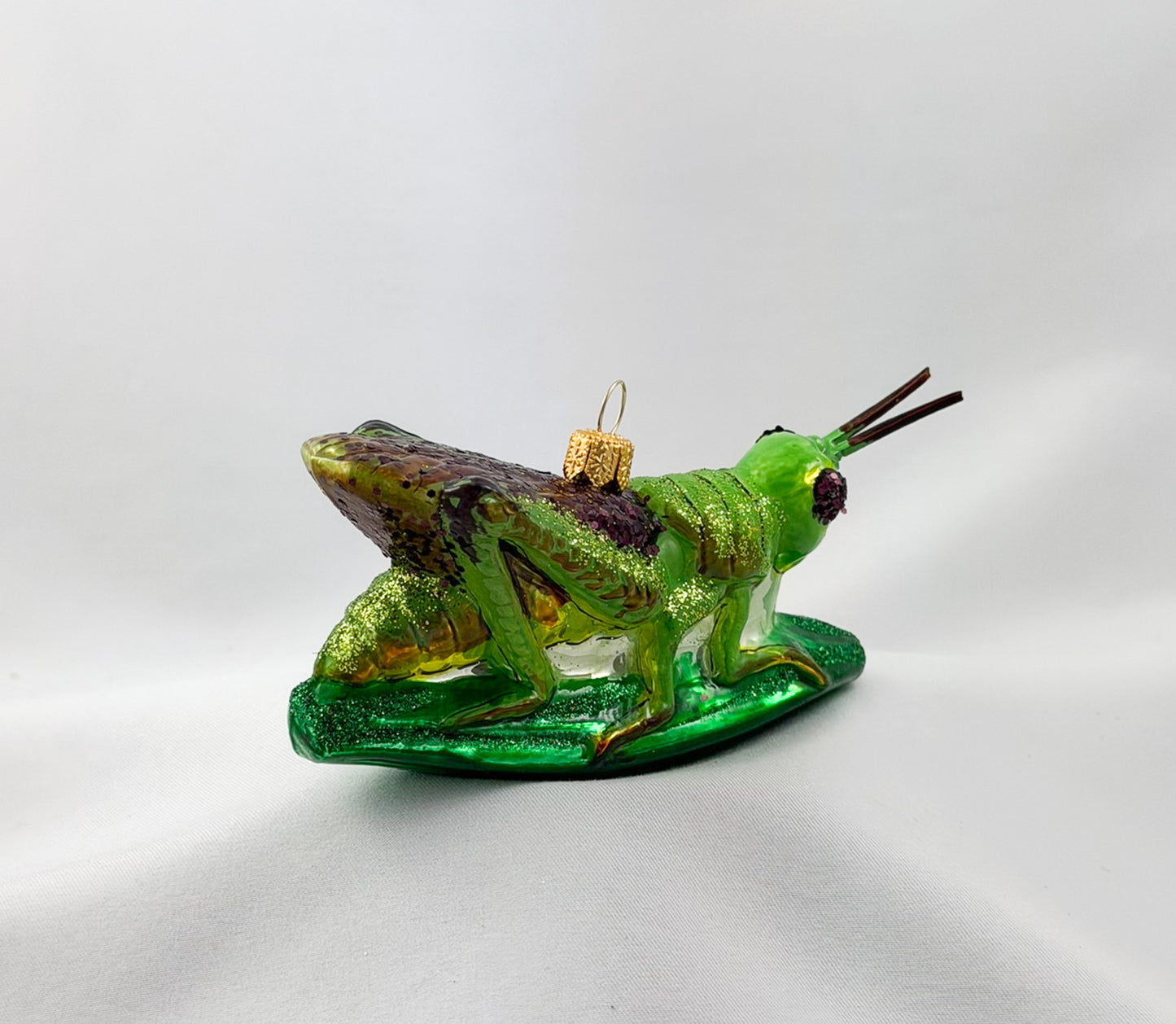 Locust, grasshopper