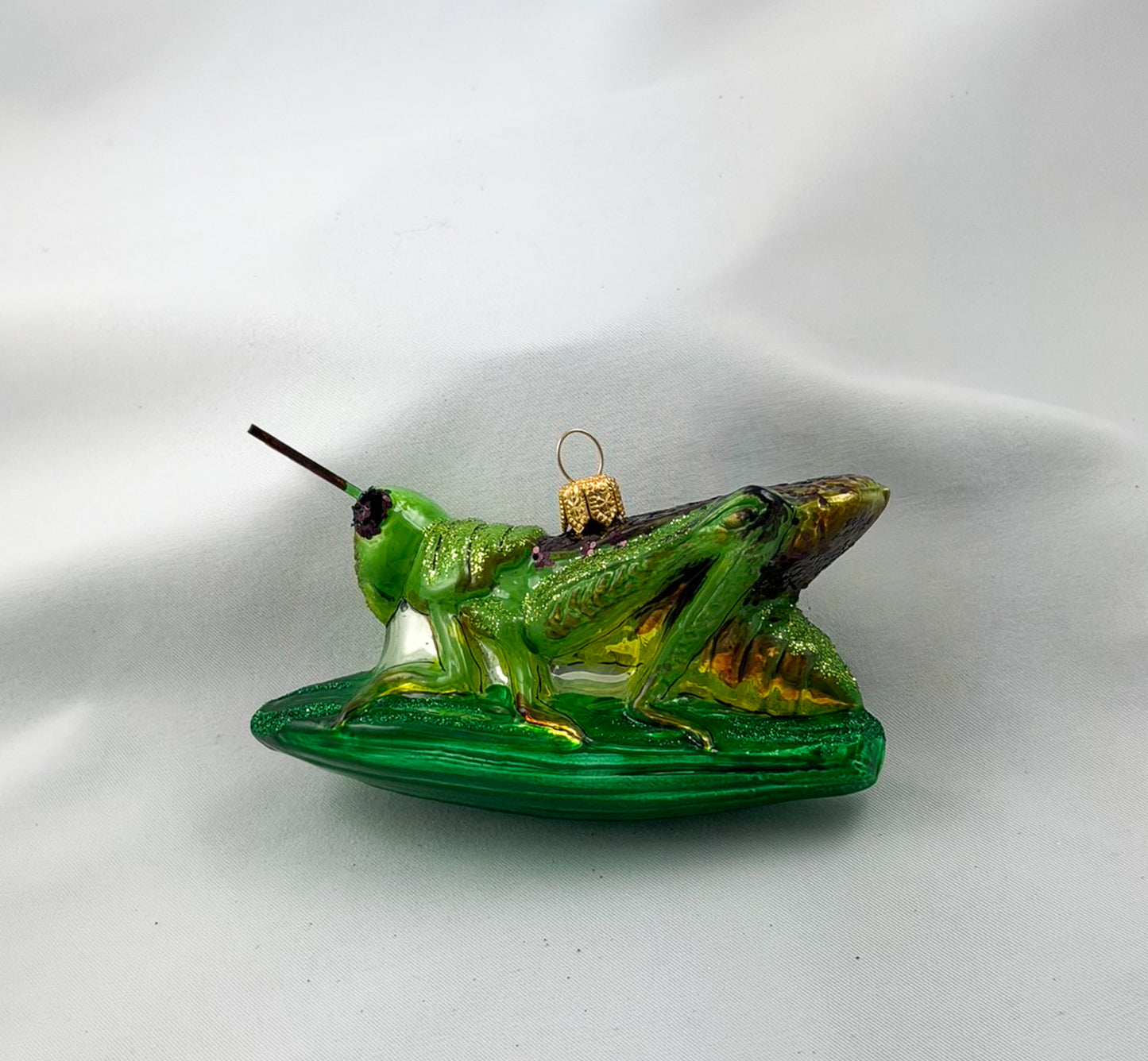 Locust, grasshopper