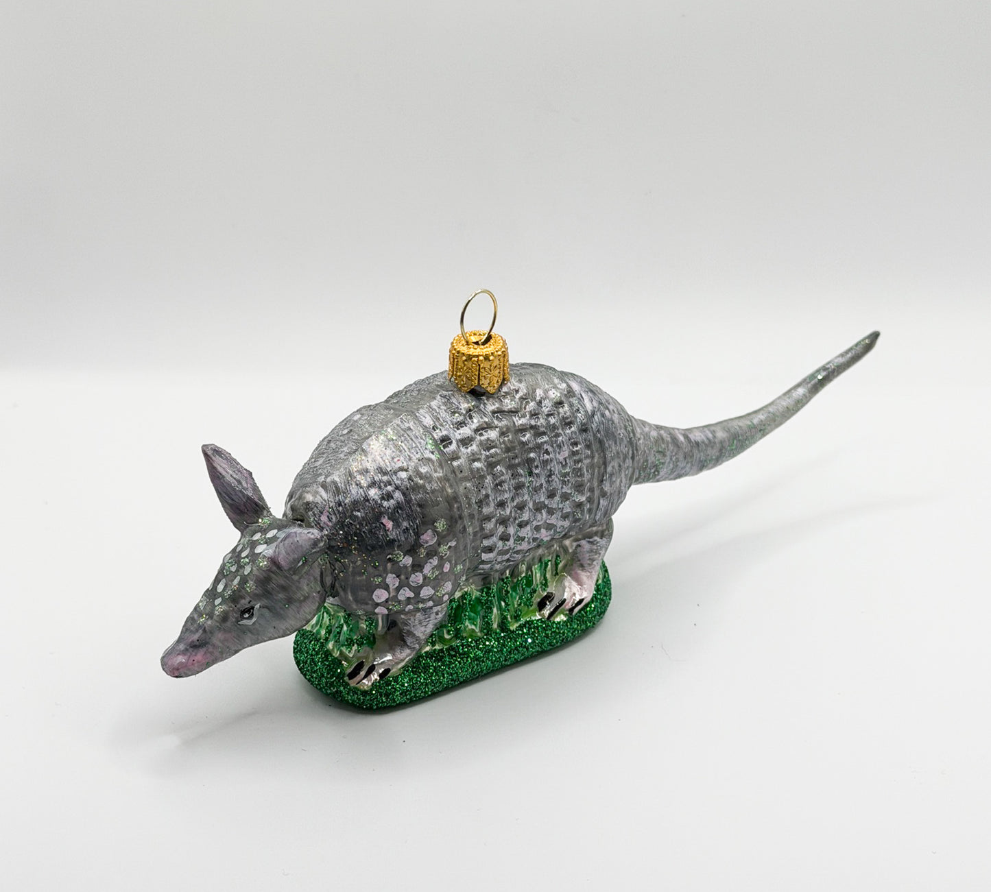 Chacoan naked-tailed armadillo
