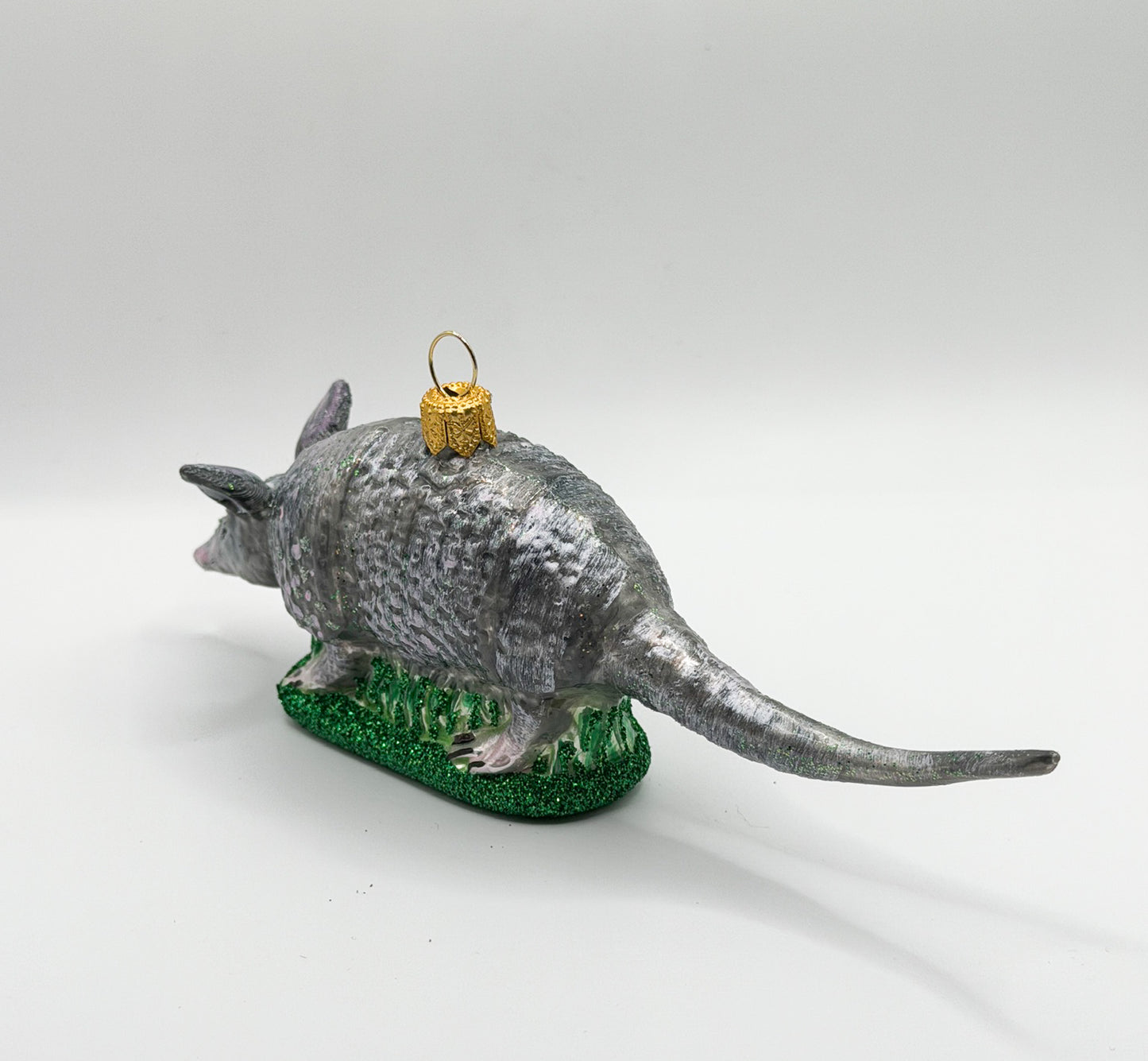 Chacoan naked-tailed armadillo