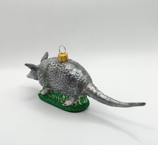Chacoan naked-tailed armadillo