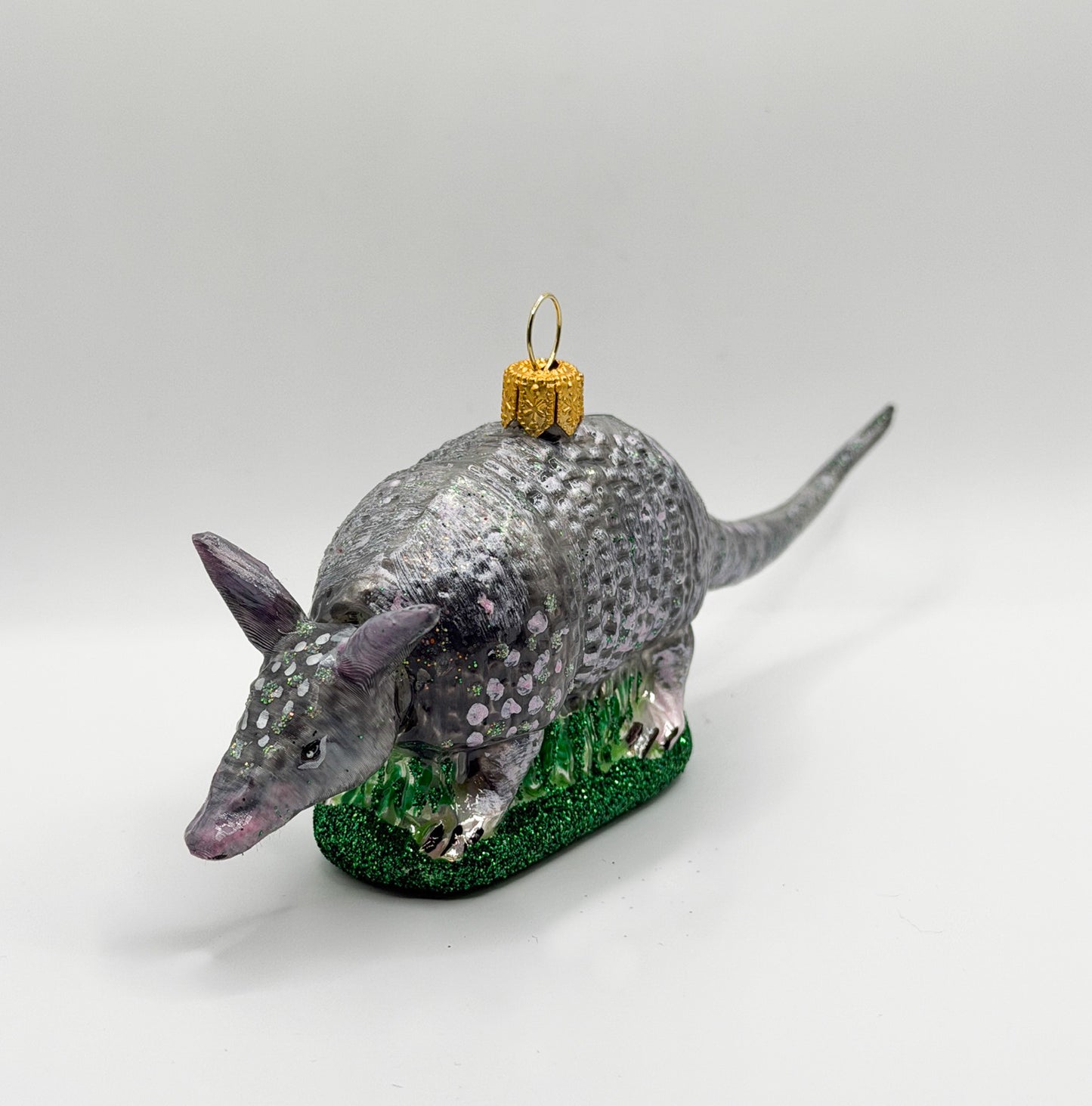 Chacoan naked-tailed armadillo