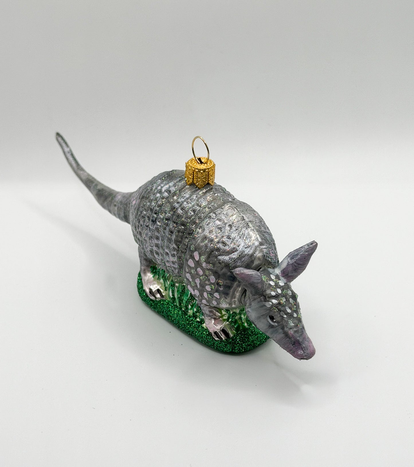 Chacoan naked-tailed armadillo