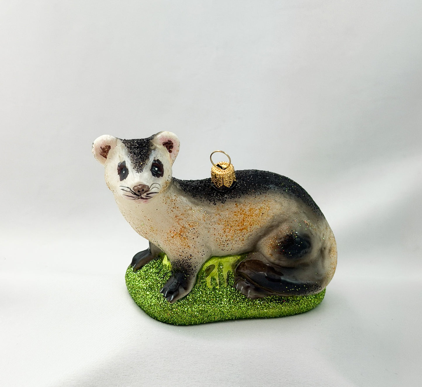 Polecat, Ferret