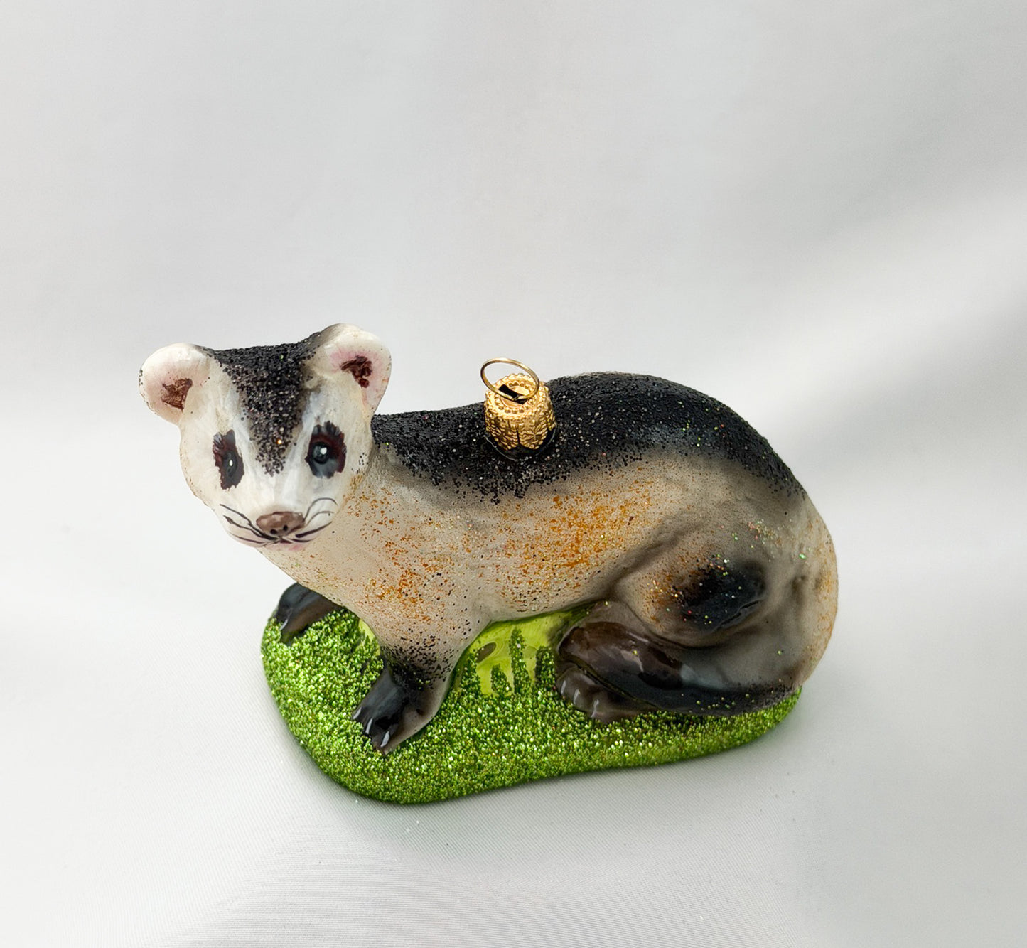 Polecat, Ferret