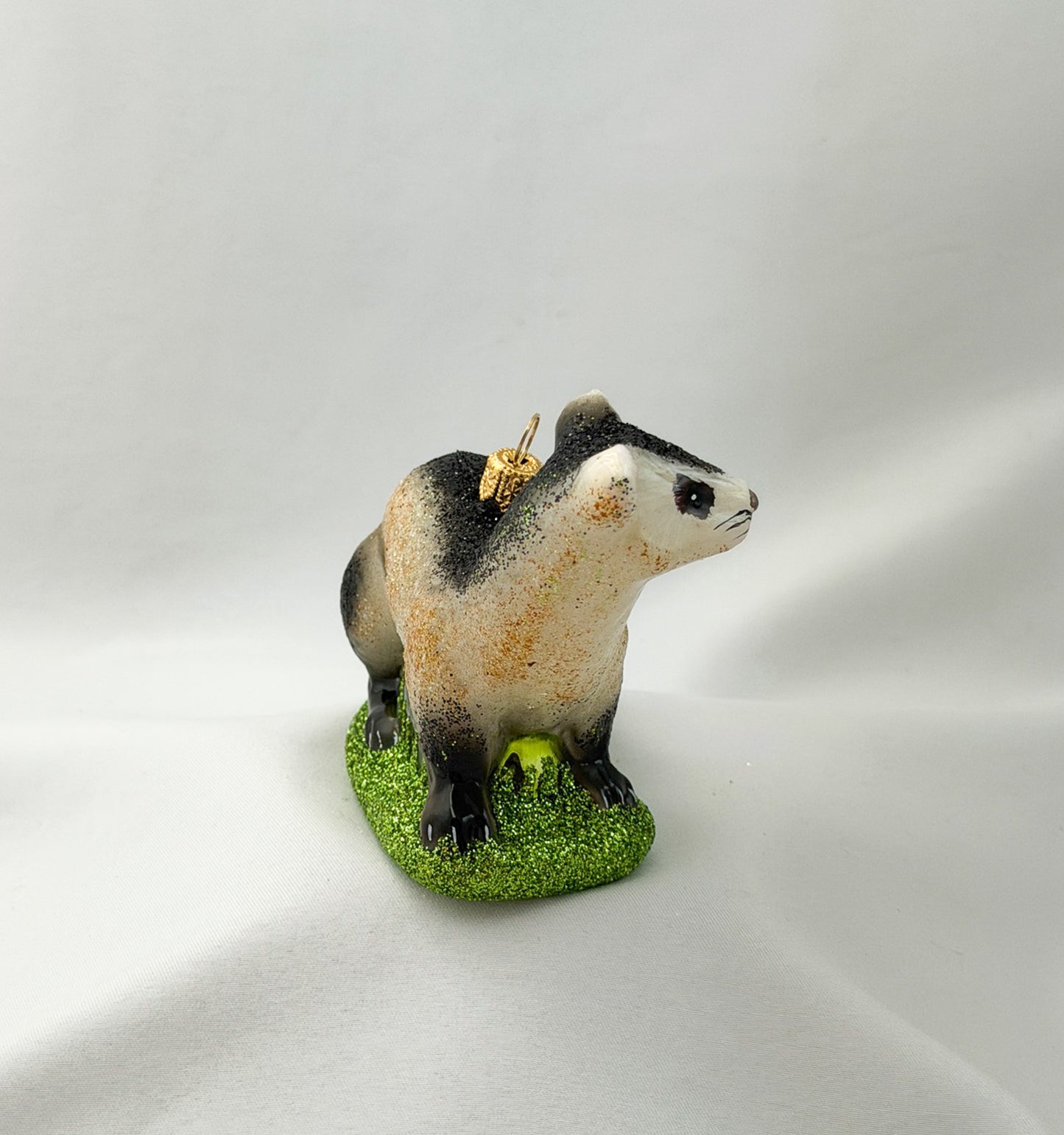Polecat, Ferret