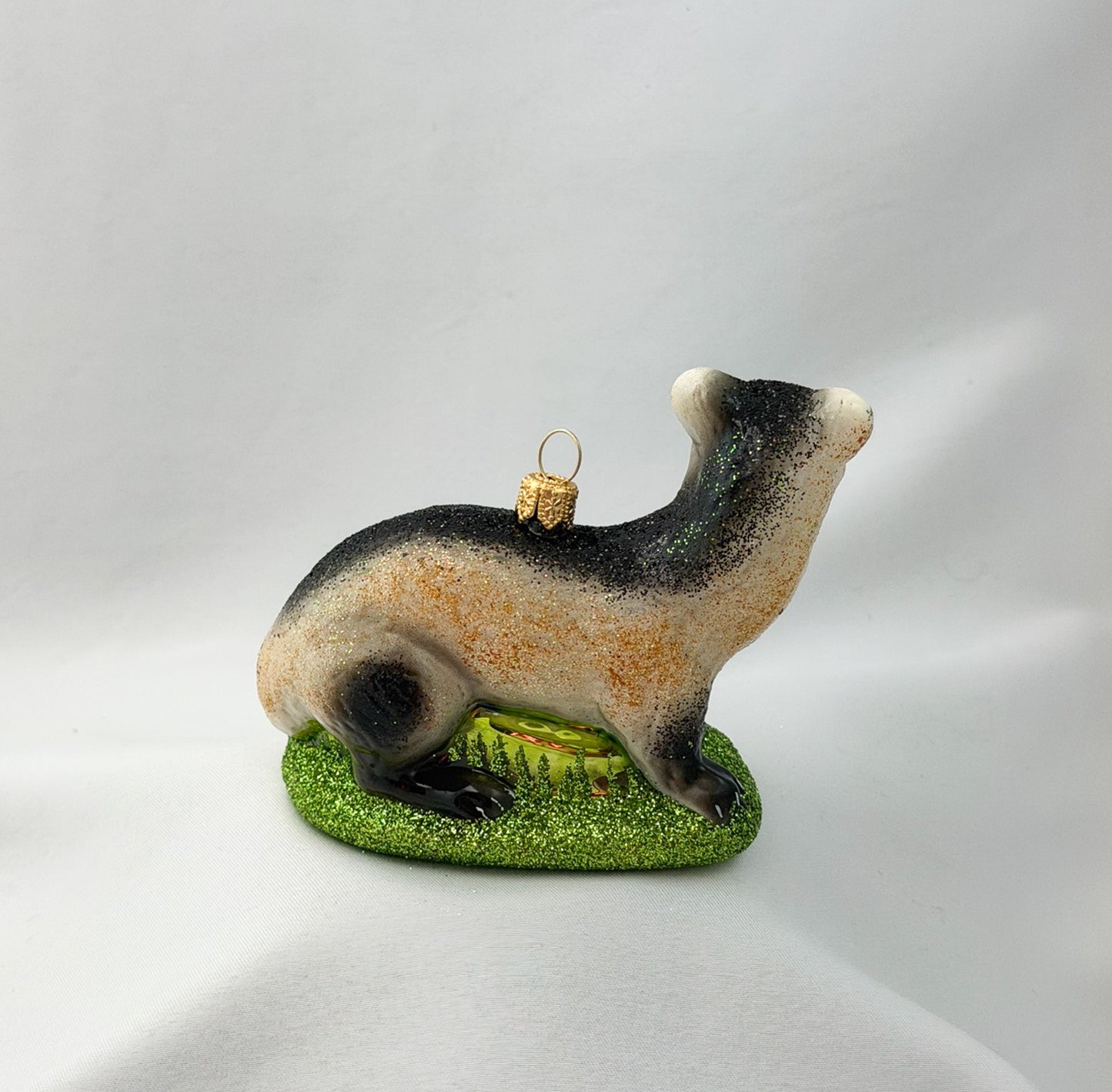Polecat, Ferret