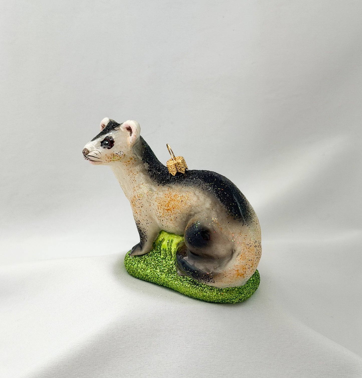 Polecat, Ferret