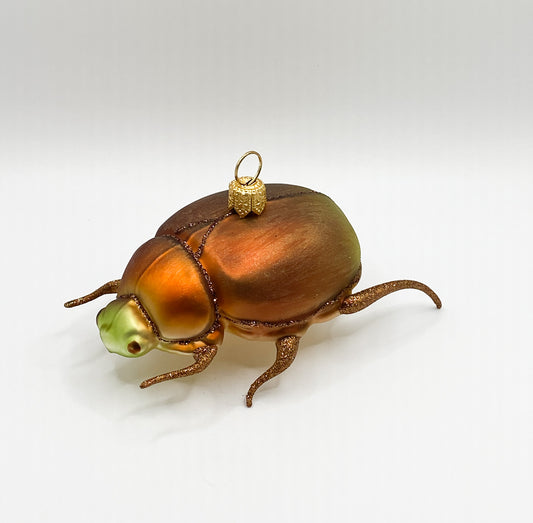 beetle, orange, green