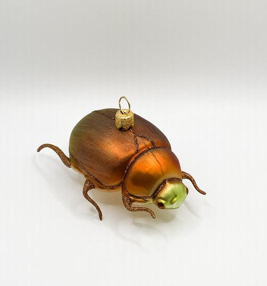 beetle, orange, green