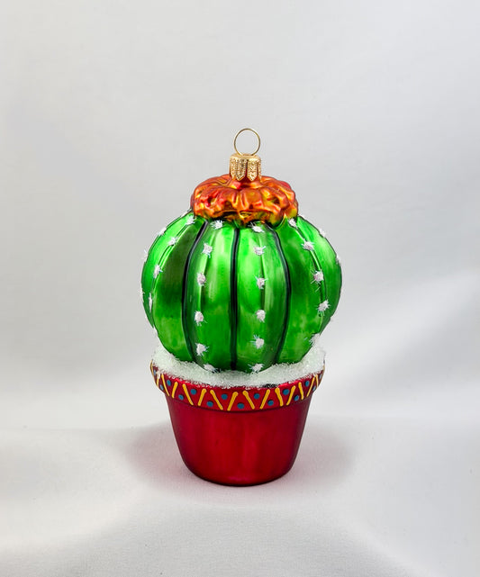 Flowering cactus in flowerpot