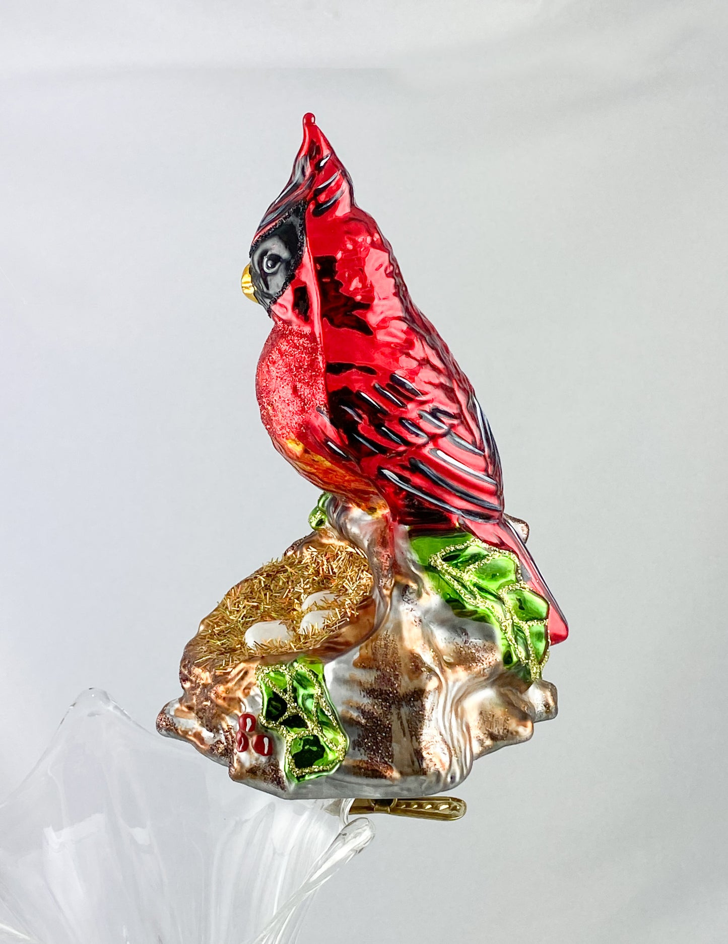 Roter Kardinal, Virgina Nachtigall sitzt vor dem Nest, auf Clip