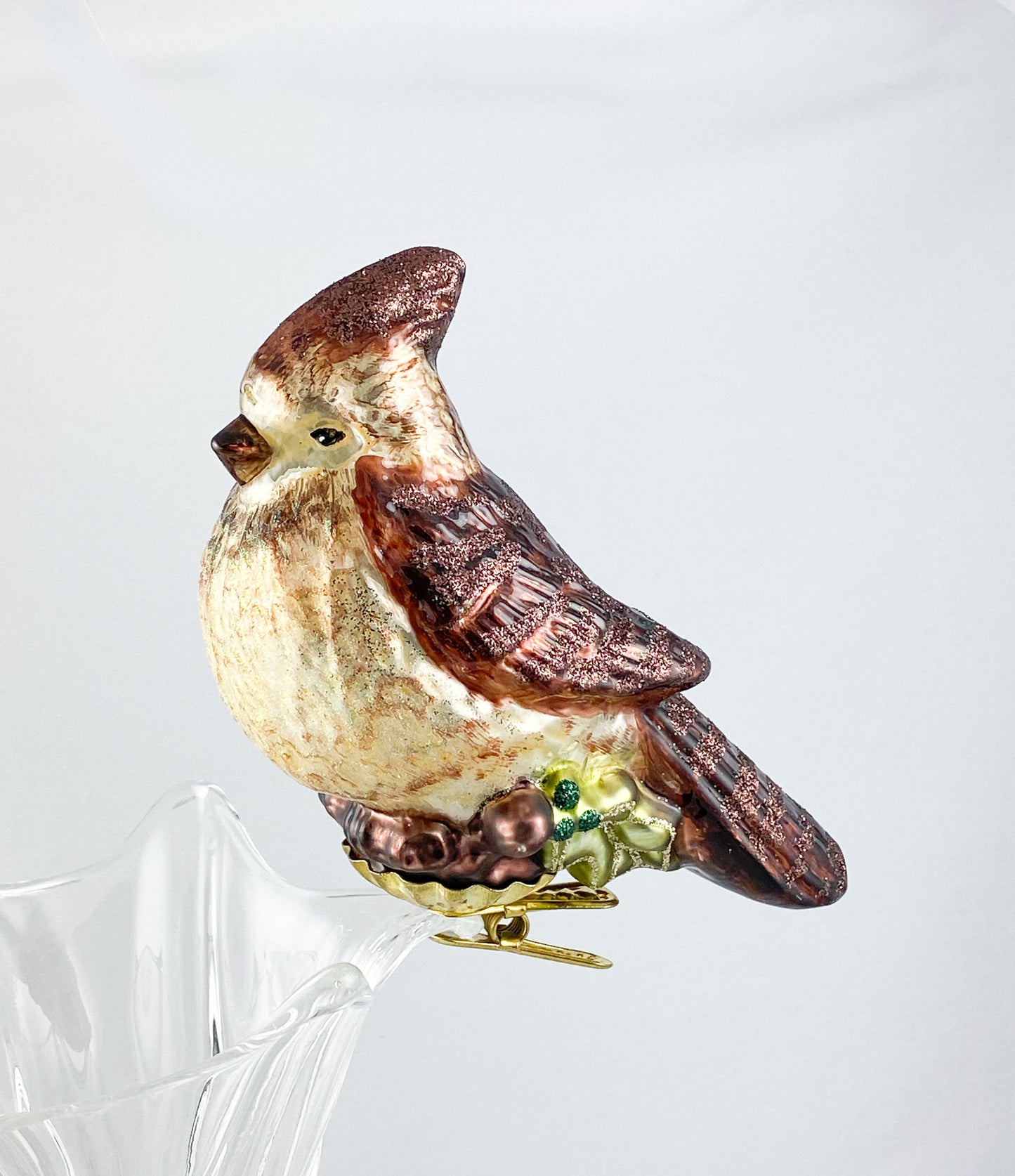 Brauner Kardinal auf Clip