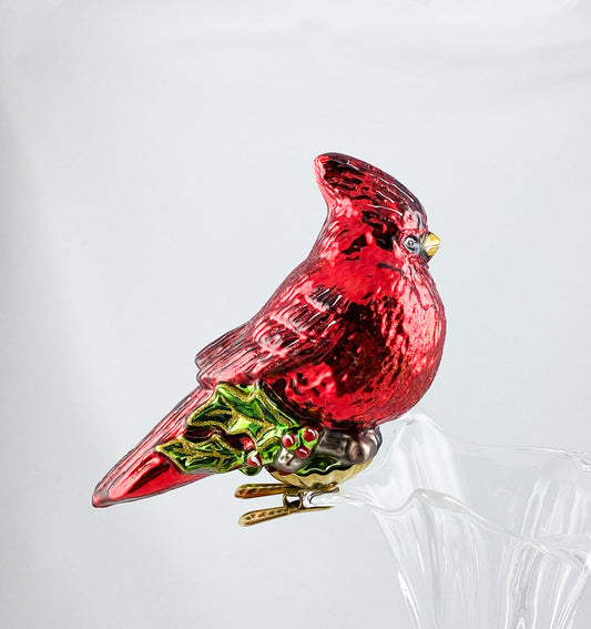 Roter Kardinal auf Clip