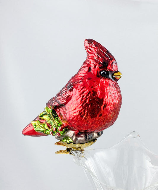 Roter Kardinal auf Clip